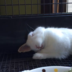 終了&ひとやすみの画像