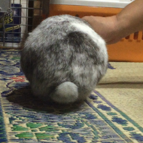 耐えるの画像
