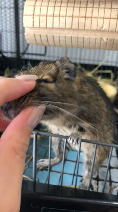 動くやつの記事動画