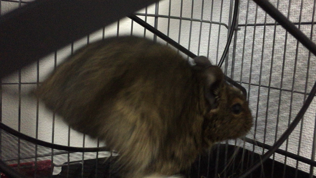 回してくれなかったの記事動画