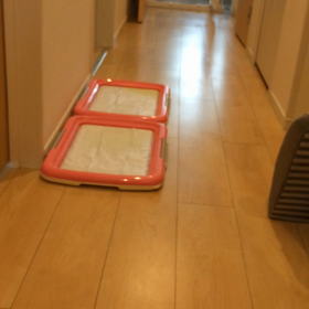 ■訓練中■の画像
