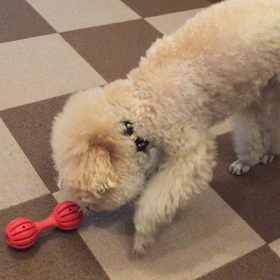 器用に食べるの画像