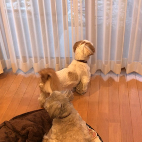 ご機嫌がよろしいの画像