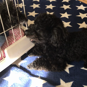 ごめんねの画像