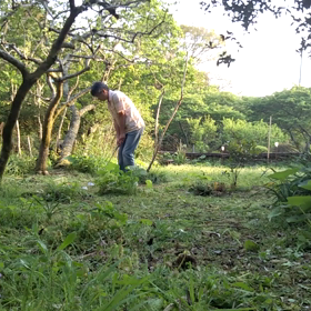 パットの為にの画像