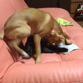 ☆お父さんが近くにいたから☆の画像