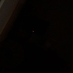 トラ子・トライアルから帰宅の画像