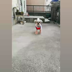 楽しい♫の画像