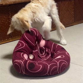 ストレス発散❗️の画像