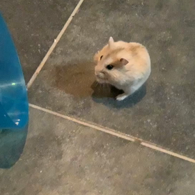 懐いてるのかな…の画像