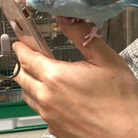 あの日の不安と今日の笑顔の画像