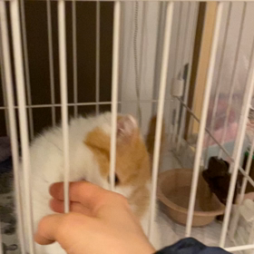 寝たくないの画像