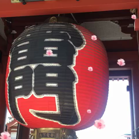 たまには、動画☆の画像