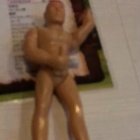 色恋のバイアグラの画像