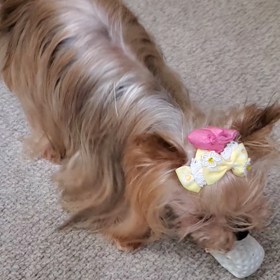 早すぎた？の画像