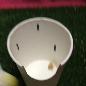 バターになったインコですの画像