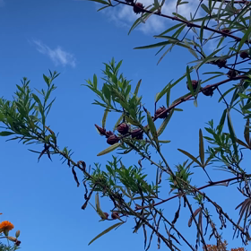 介護記録１７８（色々あったー）の画像