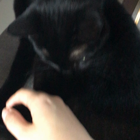 遊びたい気分の画像