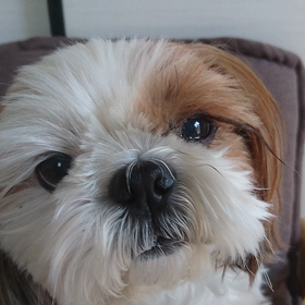 えっ(゜゜;)の画像