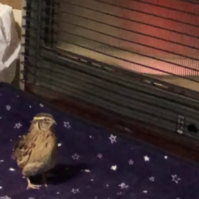 ポカポカの場所❗の画像