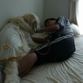 ティアラ〜の画像