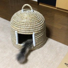 ホラーの次はマジックの画像