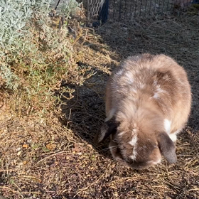 晴れてさえいれば…の画像