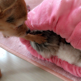 結局邪魔になっちゃったのかな？笑の画像