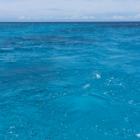 バシャバシャの画像