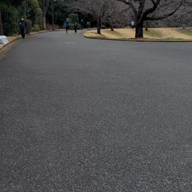 川越 長距離記録会1500m １組目①の画像