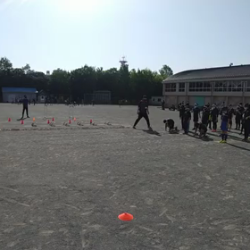 ダッシュの場⑤の画像