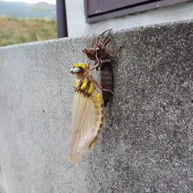 旅立ちの時。の画像