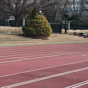 動画②の画像