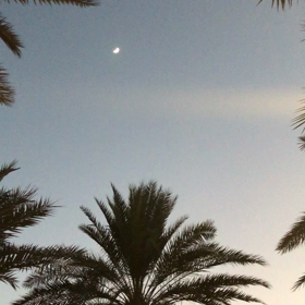 ベリーダンスと音楽と三日月の画像