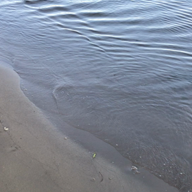 癒されてねの画像