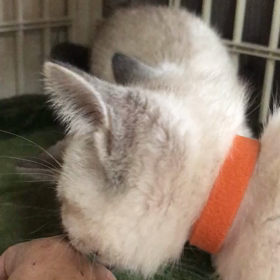 朝一で病院への画像