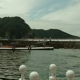 イルカ島の画像