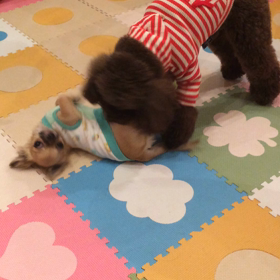 欲しくなるの画像