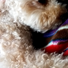 寒いから、、、ぬくぬくDAYの画像