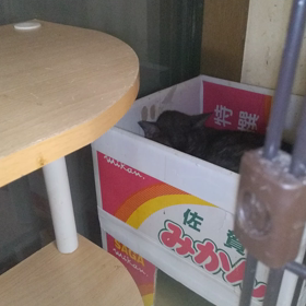 大関（笑）の画像