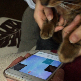 リベンジ！の画像