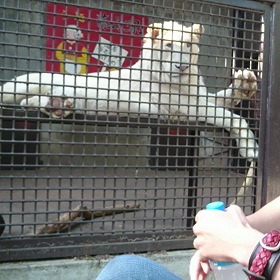 こんなことがありました！の画像