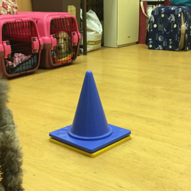 初めてのポール①の画像