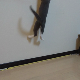 ジャーンプの画像