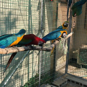 日向ぼっこの画像