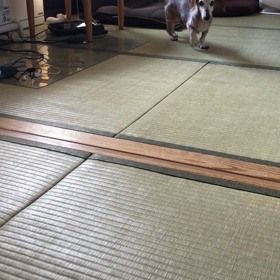 つぶやきの画像