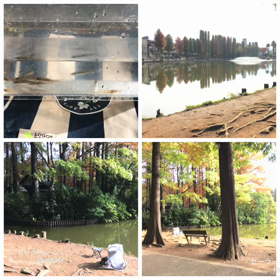 朝活、釣りの画像