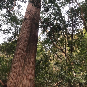 子供たちに体験させた事。の画像