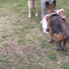 邪魔しないでよ！の画像