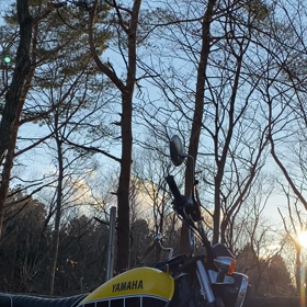 久々にバイクの画像